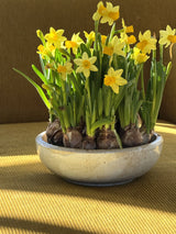 Sandfarvet serveringsskål med brune detaljer