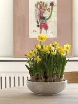 Sandfarvet serveringsskål med brune detaljer