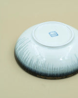 Dish with subtle gradient