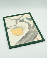 Dark green frame