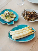 Turkis fiskefad