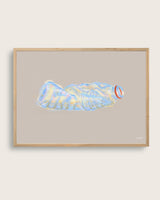 Ocean Plastics