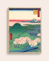Hanami
