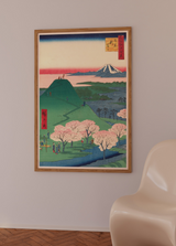 Hanami