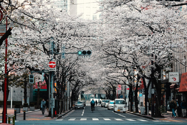 12 tips til din første tur til Japan